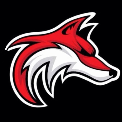 Fox Chapel Area Athletics