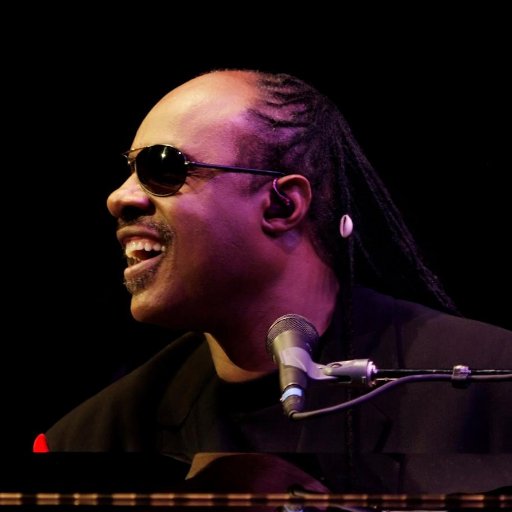 Stevie Wonder