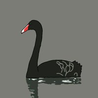 Black Swan