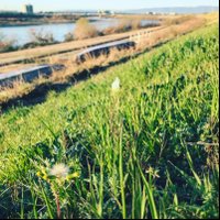 おんがくあか/ HJM / suno