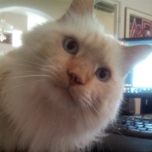 Patriot Ron - 🇺🇸Trump Won 🌟🌟🌟🇺🇸