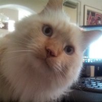 Patriot Ron - 🇺🇸Trump Won 🌟🌟🌟🇺🇸