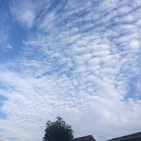 松本三空@140字小説書いています