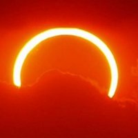 sunmooncrab topple action luv