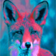 Est-ce-que_ce_monde_est_sérieux