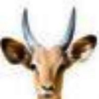 The Kasaan Times (Deutsche Ausgabe)