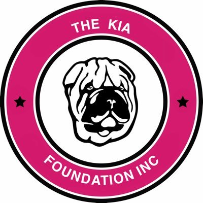 The Kia Foundation, Inc.