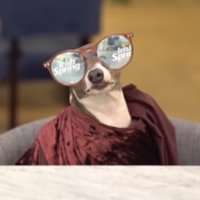 Ashley Awesome🏳️‍🌈