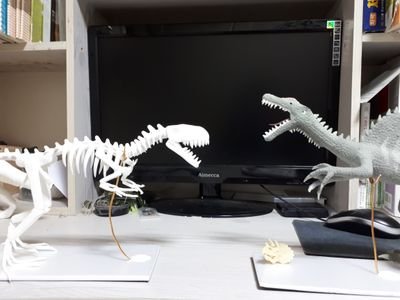 클레이 만지는 raptor