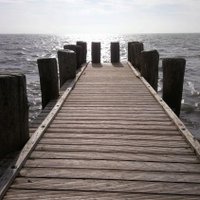 Sag die Wahrheit 🇩🇪🇪🇺🇺🇲🇮🇱