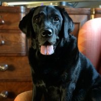 conversationswithnell