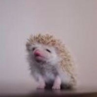 はやしさん　(しあわせガールズ)