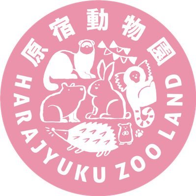 HARRY 原宿かわいい動物園