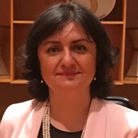 Dr Meral Kayikcioglu