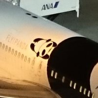 ぱんださん@まいぺーす♪