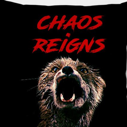 O Caos Reina 🇺🇸