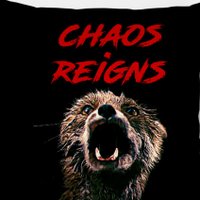 O Caos Reina 🇺🇸