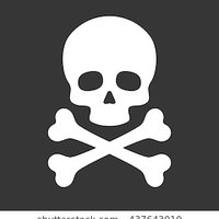 The Pirate Architect