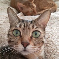 みいたむ(*'u'*)💛