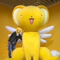 守護る@色々して何かして護っている人(療養中/約1年半経過)