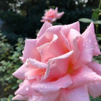 高橋 亜由美🍓TakaAi @演劇集団青の会