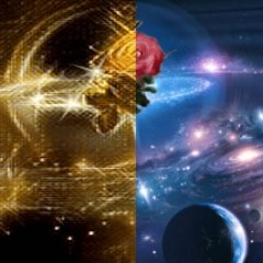 🛡️Guardian🛡️Phoenix🛡️