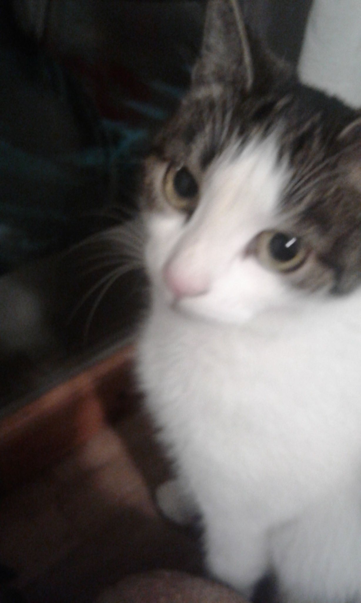 Ilaria JAja 🏳️‍🌈