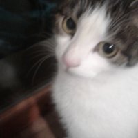 Ilaria JAja 🏳️‍🌈