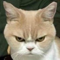 Sam - 🙏⚖️🔰 Dias melhores... 🙏Ⓜ☘