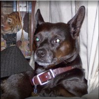 Joe 🎸🥁🎙🎶🔊🤘🏽 🚬🦴✌🏽