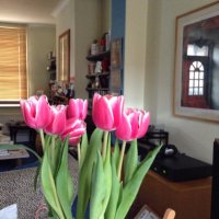 Barbara Ward #FPBE❤️