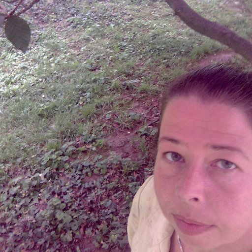 Lprobus (artist, author, comedian)