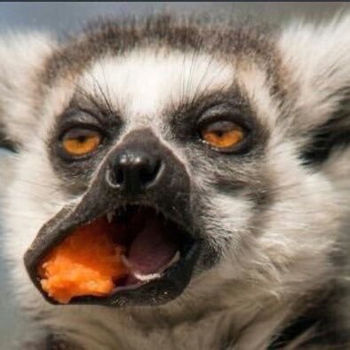 Zimleague🇺🇬🇿🇼@123k