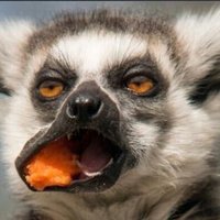 Zimleague🇺🇬🇿🇼@123k