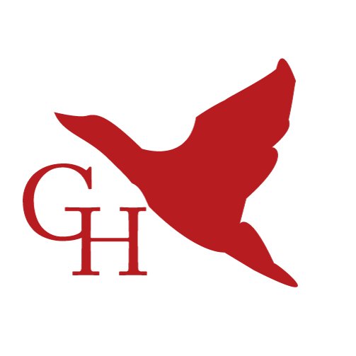 Giovane Holden Edizioni