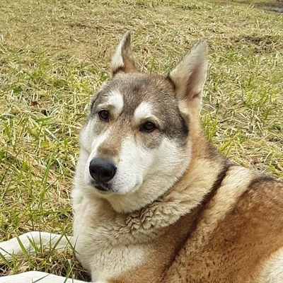 Clair Cognizant 🇺🇸 🌊 Democracy 🇺🇦