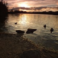 Sam WilsonLandscapes