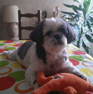 Christiane ♦️#fière de mon 🇨🇵