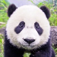 EnjoyHell🔥Podesta🔥