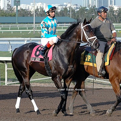 Todd Pletcher Racing Stables