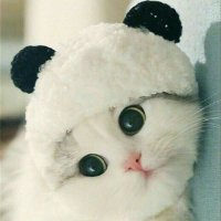 Victor Ernesto Palma