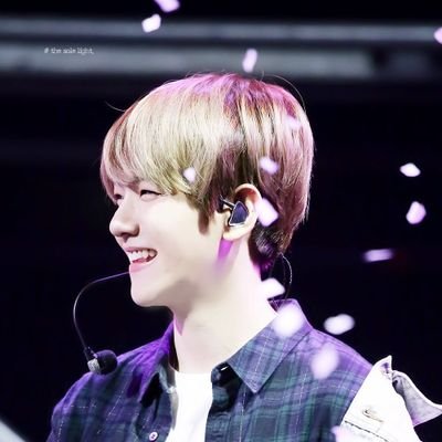 InK૮₍ • ᴥ • ₎ა🍀