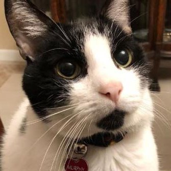 Michael Coates πΊπΈπππππΊπΈπππππΊπΈ