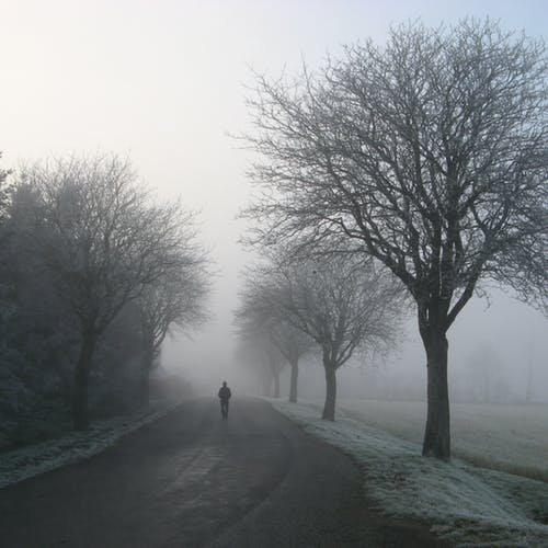 Paddy (Follow back) (互fo💯)