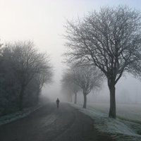 Paddy (Follow back) (互fo💯)