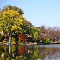 Northern Virginia Living