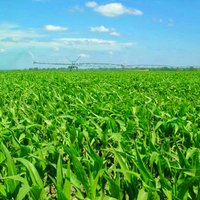 Marshall Land Brokers & Auctioneers