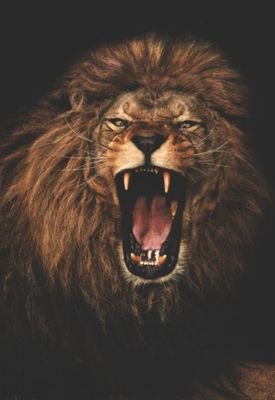 Dr. Amarachukwu 🐐