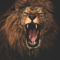 Dr. Amarachukwu 🐐