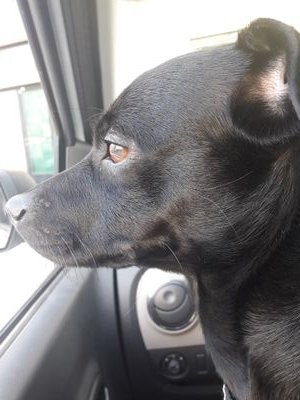 José Morata Climent